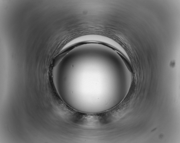 X0000099570221200805161524