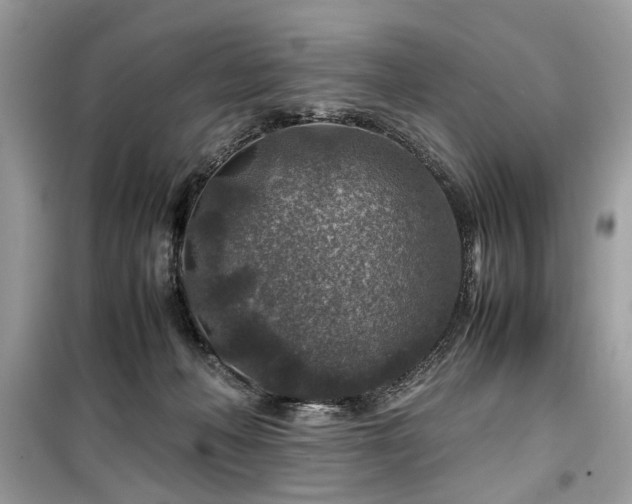 X0000099570222200805161524