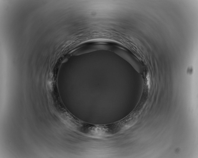 X0000099570223200805161524