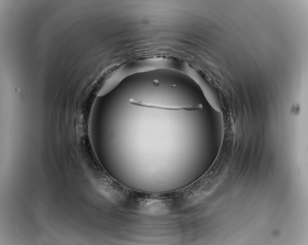 X0000099570224200805161524