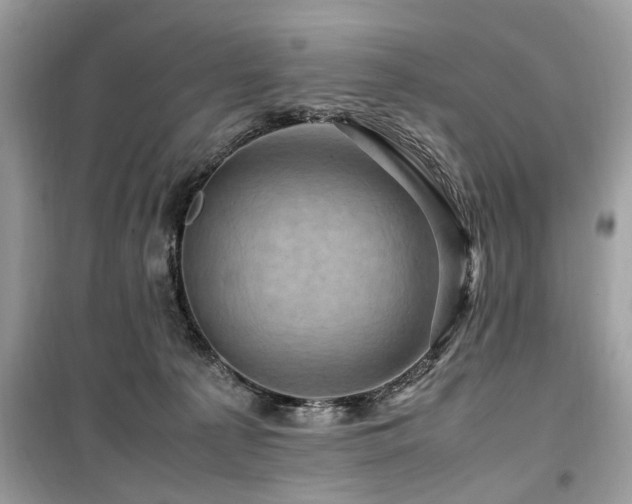 X0000099570225200805161524