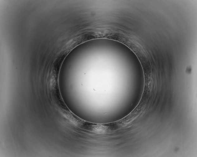 X0000099570226200805161524