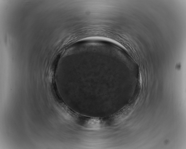 X0000099570227200805161524