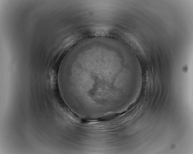 X0000099570228200805161524