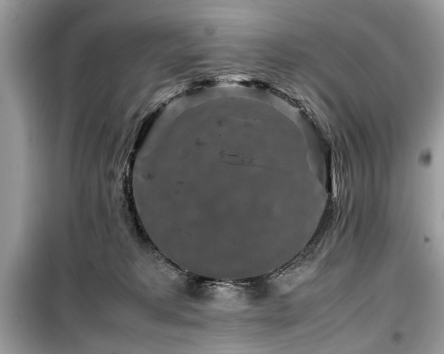 X0000099570229200805161524