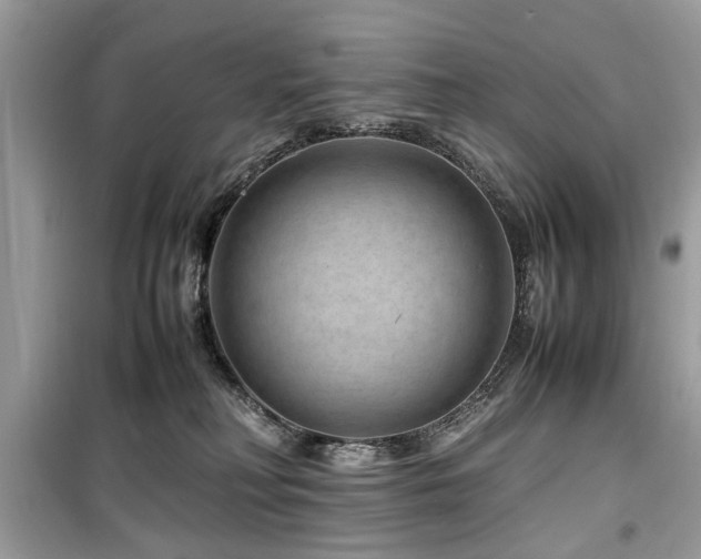 X0000099570230200805161524