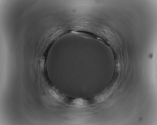 X0000099570231200805161524