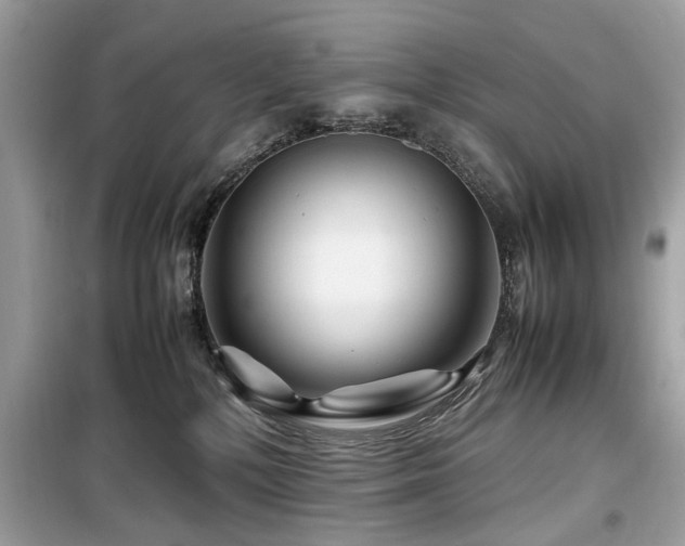 X0000099570232200805161524