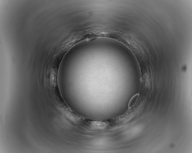 X0000099570234200805161524