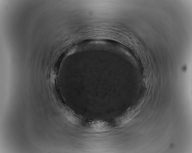 X0000099570235200805161524