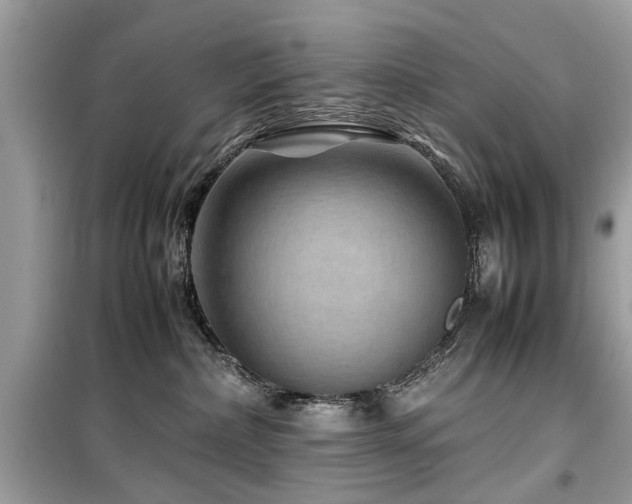 X0000099570236200805161524