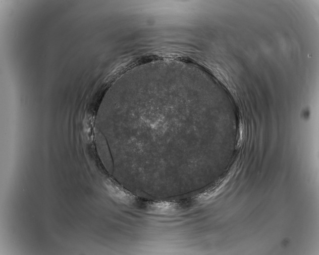 X0000099570237200805161524