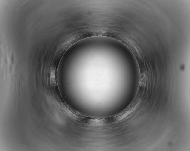 X0000099570238200805161524