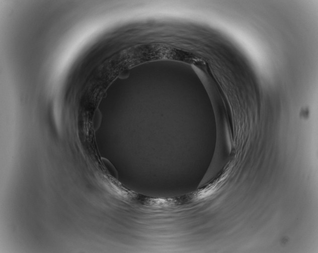 X0000099570239200805161524