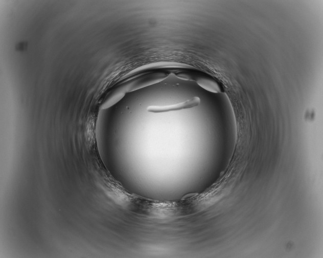 X0000099570240200805161524