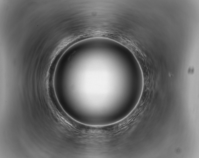 X0000099570242200805161523