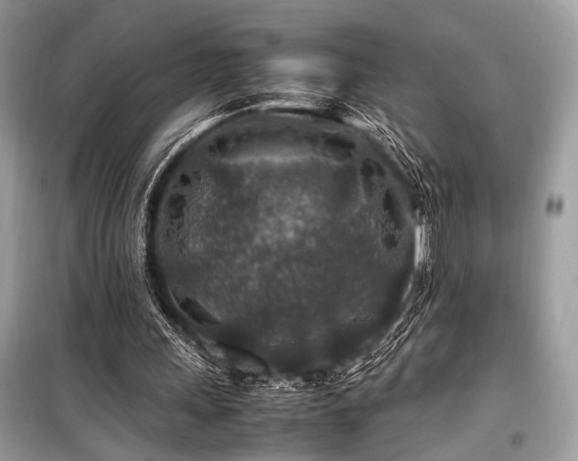 X0000099570243200805161523