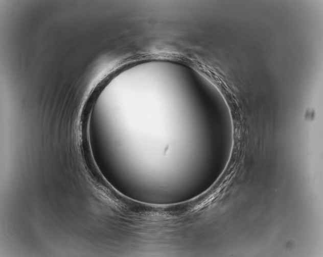 X0000099570246200805161523