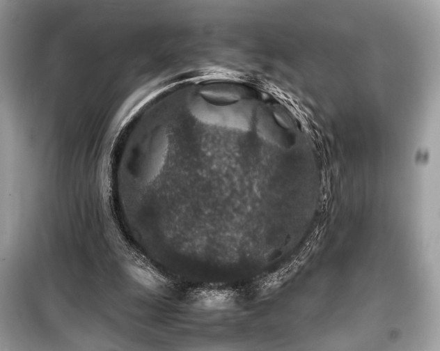 X0000099570247200805161523