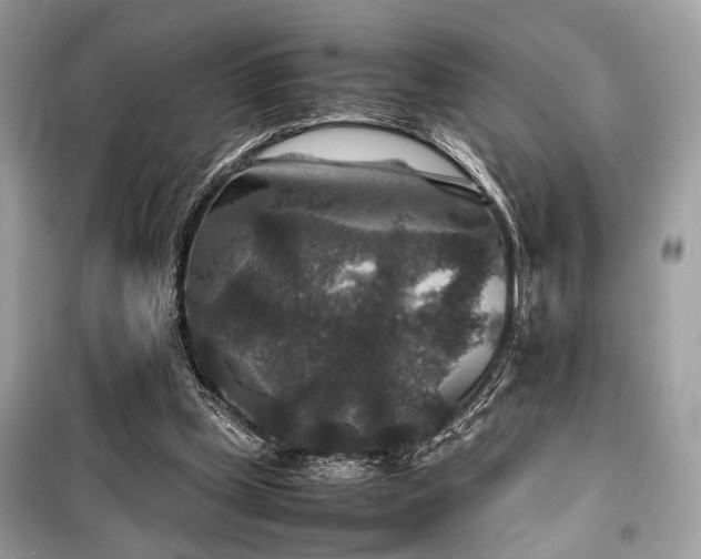 X0000099570249200805161523