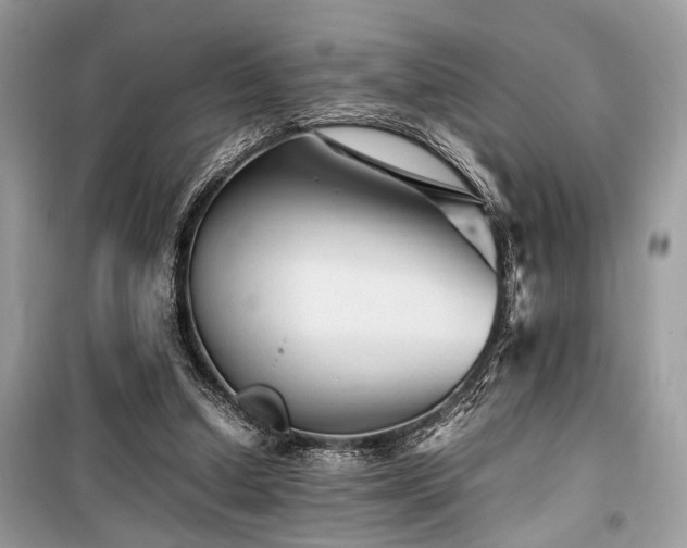 X0000099570250200805161523