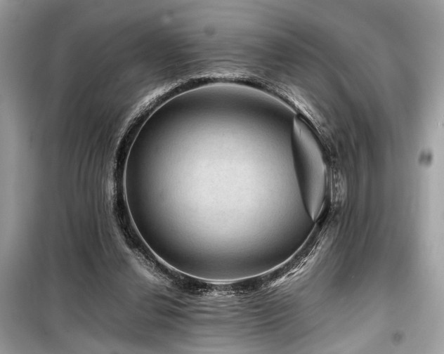 X0000099570252200805161523