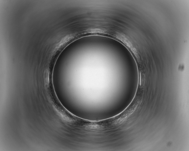 X0000099570253200805161523