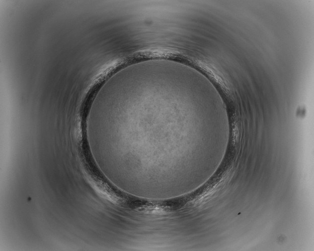 X0000099570254200805161523