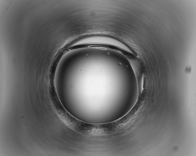 X0000099570256200805161523