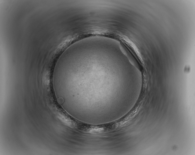 X0000099570257200805161523