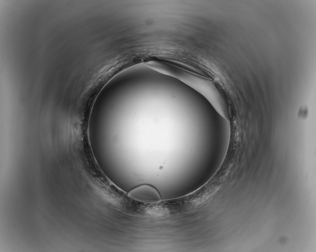 X0000099570258200805161523