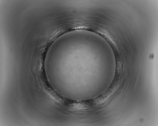 X0000099570259200805161523