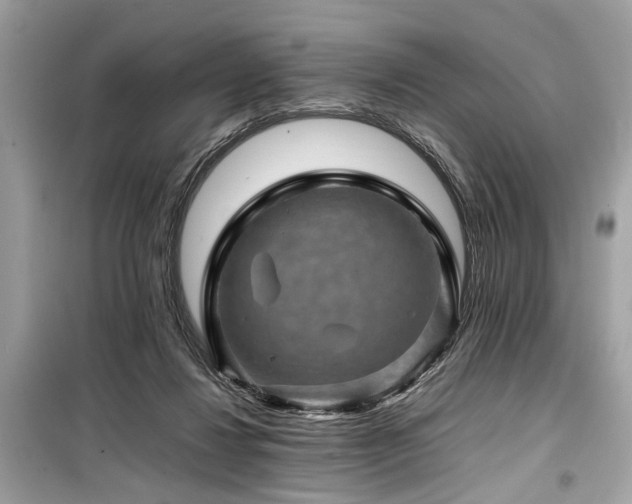 X0000099570260200805161523