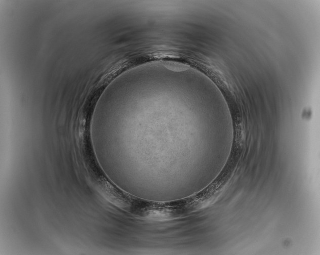 X0000099570263200805161524