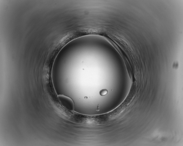 X0000099570264200805161524