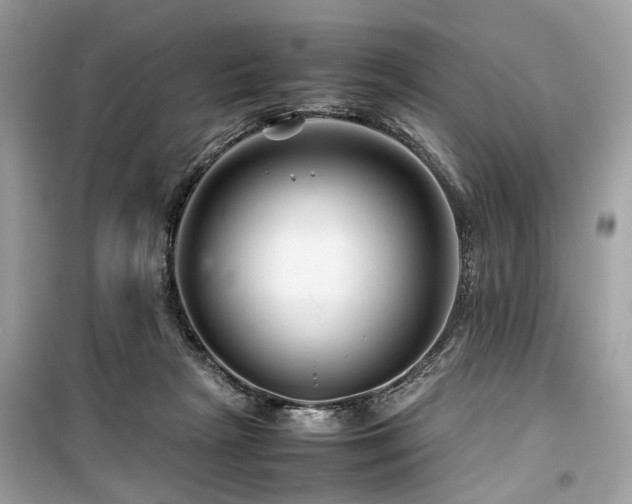 X0000099570265200805161524