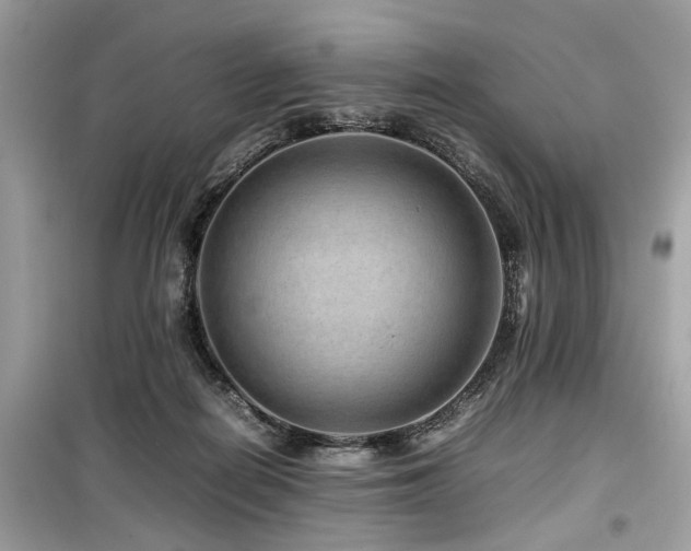 X0000099570266200805161524