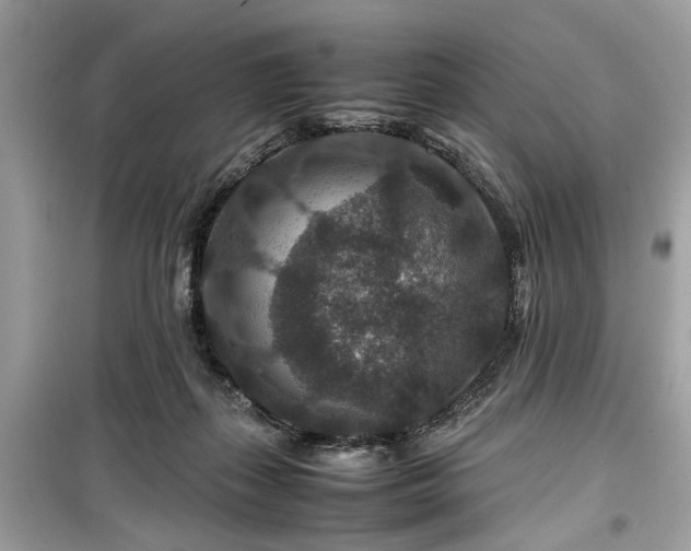 X0000099570267200805161524