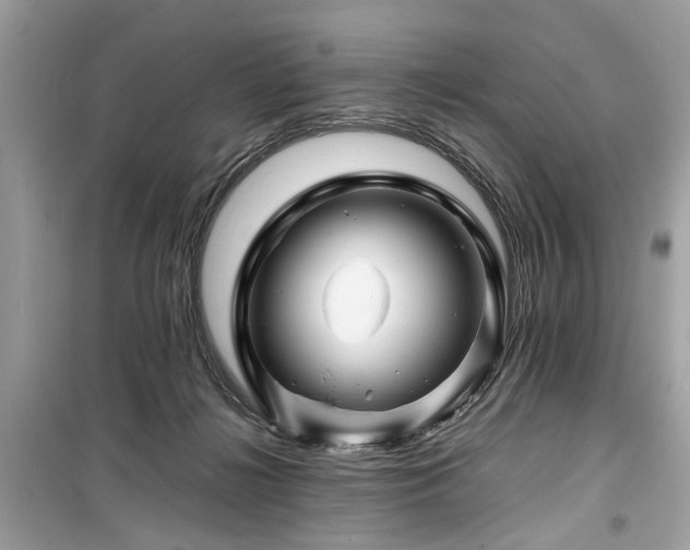 X0000099570268200805161524