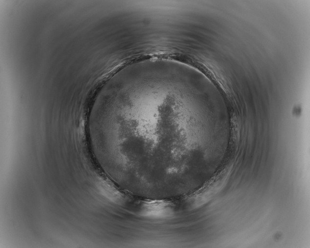 X0000099570269200805161524