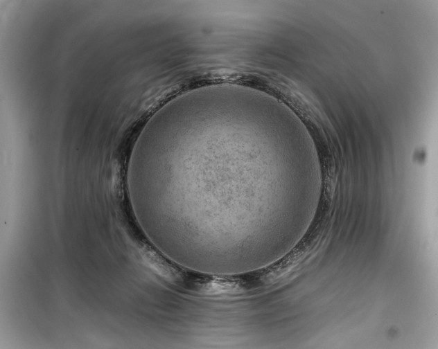 X0000099570270200805161524