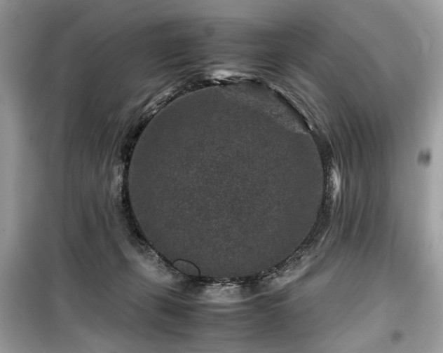 X0000099570271200805161524