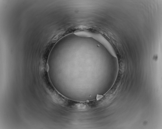 X0000099570272200805161524