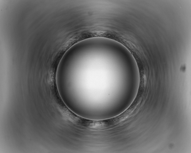 X0000099570274200805161524