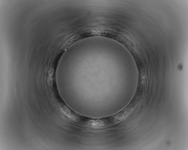 X0000099570275200805161524