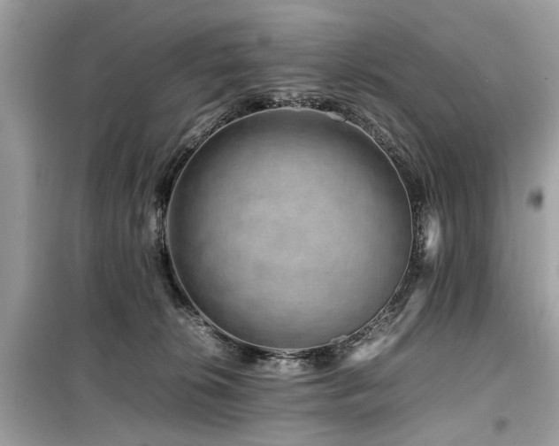 X0000099570276200805161524