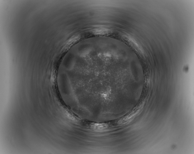 X0000099570277200805161524