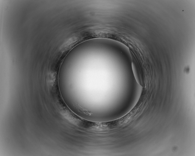 X0000099570278200805161524