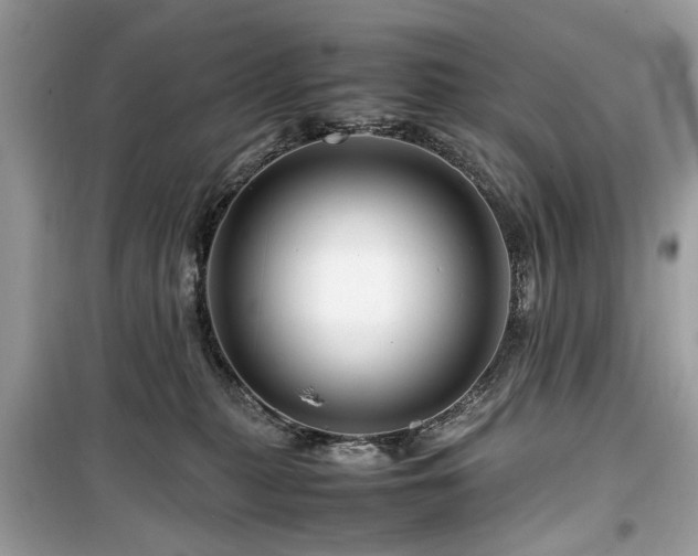 X0000099570279200805161524