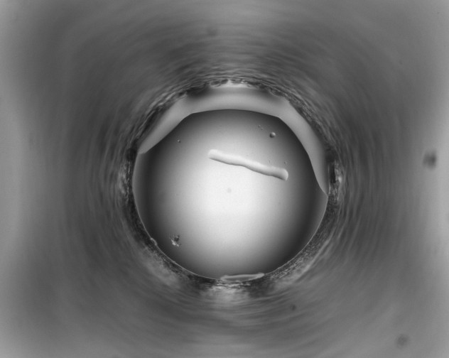 X0000099570280200805161524